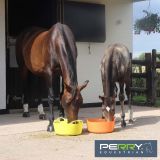 Tack Room Essentials By Perry Equestrian